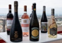 Futuro del vino italiano: enoturismo, export e mercati emergenti al centro di Envisioning2035