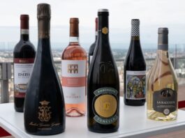 Futuro del vino italiano: enoturismo, export e mercati emergenti al centro di Envisioning2035