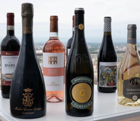 Futuro del vino italiano: enoturismo, export e mercati emergenti al centro di Envisioning2035