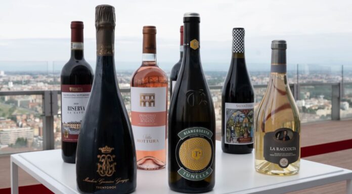 Futuro del vino italiano: enoturismo, export e mercati emergenti al centro di Envisioning2035