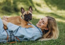 Mister Pet. Quality award, il premio dai consumatori anche nel 2026.