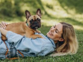 Mister Pet. Quality award, il premio dai consumatori anche nel 2026.