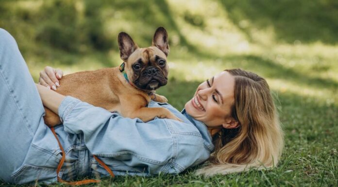 Mister Pet. Quality award, il premio dai consumatori anche nel 2026.