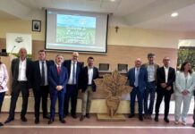 Filiera dello zucchero, la ricerca scientifica supporta la resa e la tutela dai cambiamenti climatici