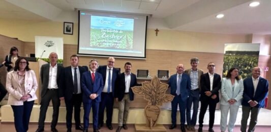 Filiera dello zucchero, la ricerca scientifica supporta la resa e la tutela dai cambiamenti climatici