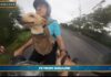 Pet News – Nuove regole europee per viaggiare con cani e gatti – (video)