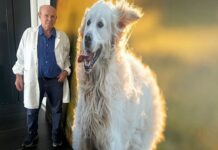 Gente di fabbrica: Enzo Gambarelli