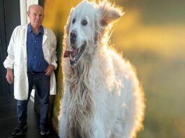 Gente di fabbrica: Enzo Gambarelli