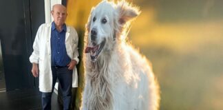 Gente di fabbrica: Enzo Gambarelli