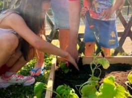 A Villa Bonelli l’orto dei bambini diventa modello-pilota per il territorio con il supporto del CAP