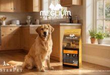 Consigli dal web per viaggiare in aereo con cani “importanti”