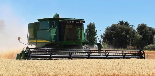 Cereali e dintorni”. Approvvigionamenti: attenzione alle settimane 33 – 34.