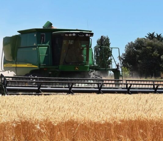 Cereali e dintorni”. Approvvigionamenti: attenzione alle settimane 33 – 34.