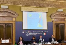 Nobili informa – Immatricolazioni: una frenata annunciata