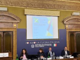 Nobili informa – Immatricolazioni: una frenata annunciata