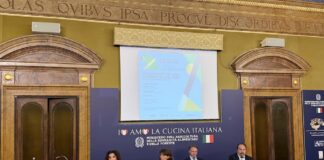 Nobili informa – Immatricolazioni: una frenata annunciata