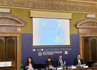 Nobili informa – Immatricolazioni: una frenata annunciata
