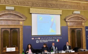 Nobili informa – Immatricolazioni: una frenata annunciata