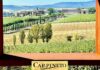 Carpineto, quando il vino diventa impresa e le generazioni diventano futuro