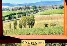 Carpineto, quando il vino diventa impresa e le generazioni diventano futuro