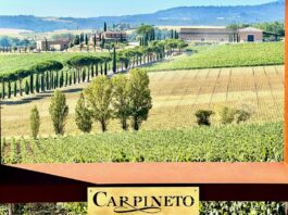 Carpineto, quando il vino diventa impresa e le generazioni diventano futuro