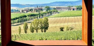 Carpineto, quando il vino diventa impresa e le generazioni diventano futuro