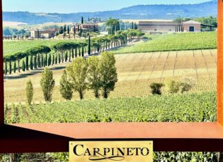 Carpineto, quando il vino diventa impresa e le generazioni diventano futuro