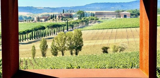 Carpineto, quando il vino diventa impresa e le generazioni diventano futuro