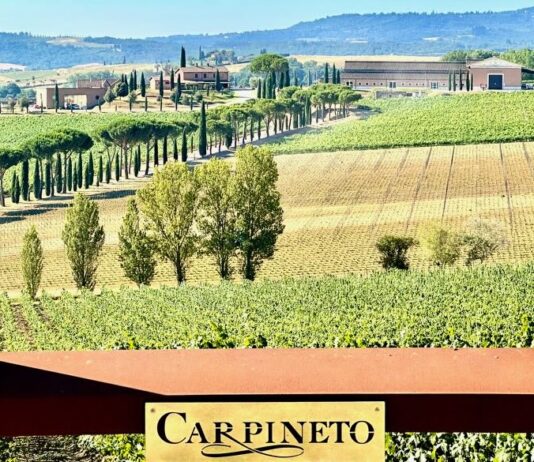 Carpineto, quando il vino diventa impresa e le generazioni diventano futuro