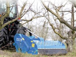 Nobili spa per sarmenti di grandi dimensioni: serie BV e BVR 1000