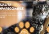 Mister Pet informa. Le tendenze moderne del Pet Food.
