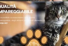 Mister Pet informa. Le tendenze moderne del Pet Food.
