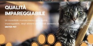 Mister Pet informa. Le tendenze moderne del Pet Food.