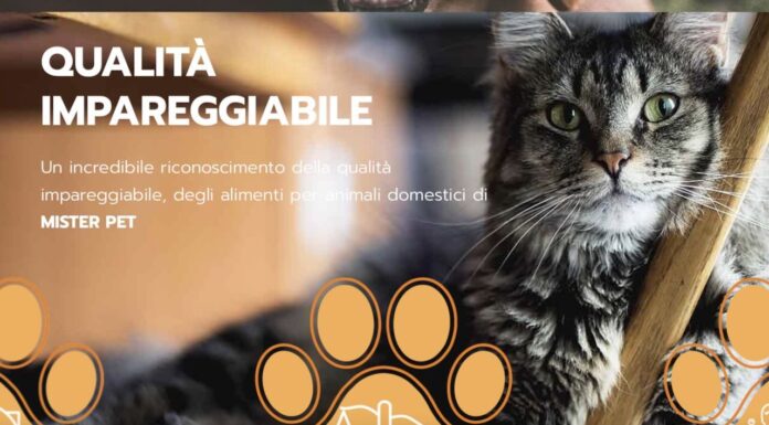Mister Pet informa. Le tendenze moderne del Pet Food.