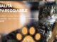 Mister Pet informa. Le tendenze moderne del Pet Food.