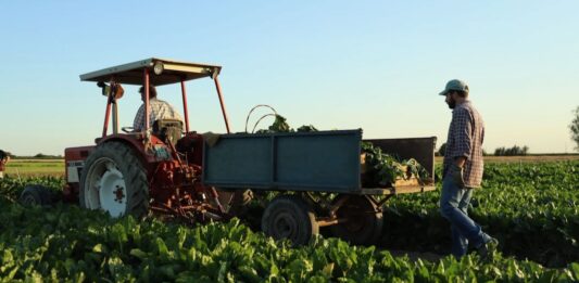 COPROB Italia Zuccheri guarda alla prossima campagna: l’obiettivo è tornare a lavorare con due zuccherifici
